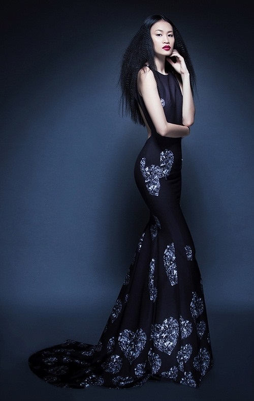 Hồ Ngọc Hà thay Xuân Lan ở Vietnam’s next top model 2015? 7